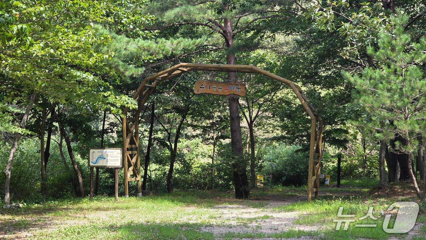 경북 영양군 수비면 수비솔솔유치원숲체험원 입구. (영덕국유림관리소제공, 재판매 및 DB금지) 2025.8.26/뉴스1 