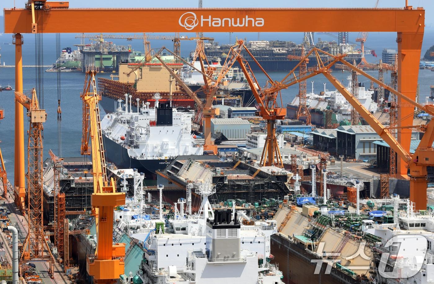 경남 거제시 한화오션 거제사업장에 대형 크레인과 건조 중인 선박이 보이고 있다.2025.8.26/뉴스1 ⓒ News1 윤일지 기자