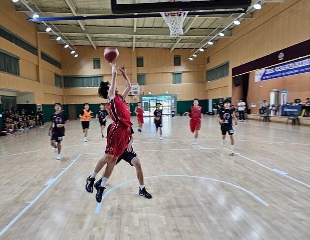 본문 이미지 - 충북교육감배 학교스포츠클럽대회 농구 예선.(충북교육청 제공. 재판매 및 DB금지)/뉴스1