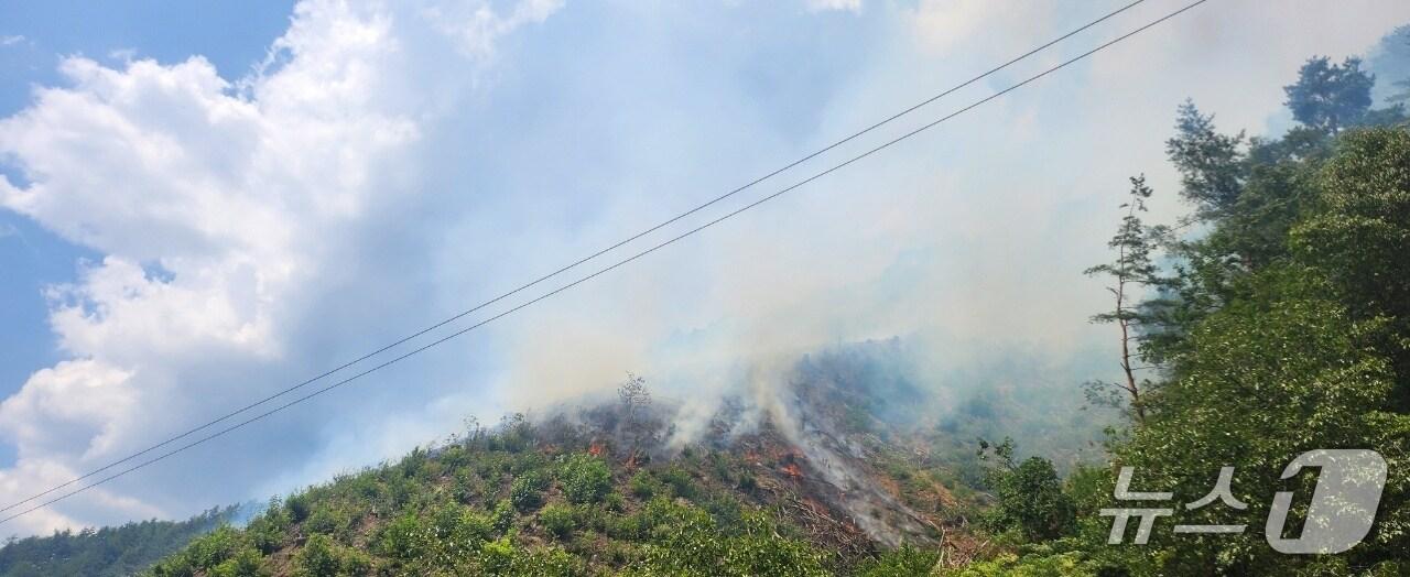 본문 이미지 - 강원 삼척 산불.&#40;산림청 제공. 재판매 및 DB금지&#41;/뉴스1
