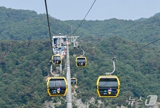 본문 이미지 - 강원 원주시 소금산그랜드밸리&#40;간현관광지&#41; 케이블카 자료 사진. &#40;원주시시설관리공단 제공. 재판매 및 DB금지&#41; 2025.8.26/뉴스1