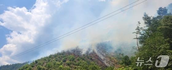 본문 이미지 - 강원 삼척 산불 자료 사진.&#40;산림청 제공. 재판매 및 DB금지&#41;/뉴스1