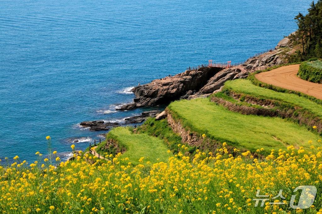 본문 이미지 - 국내 대표 여름 휴양지로 떠오른 경남 남해의 다랭이마을&#40;호텔스컴바인 제공&#41;