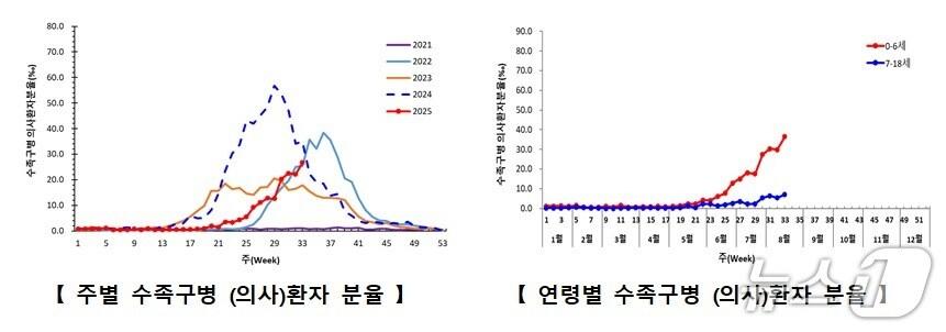 본문 이미지 - 수족구병 의사환자 분율&#40;질병청 제공&#41; 2025.8.27/뉴스1