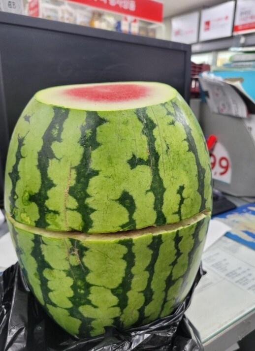 본문 이미지 - &#40;보배드림 갈무리&#41;