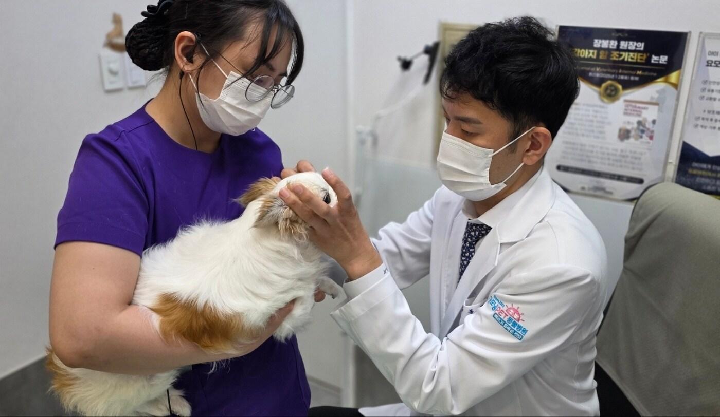 장봉환 원장(오른쪽)이 진료하는 모습(굿모닝펫 동물병원 제공) ⓒ 뉴스1