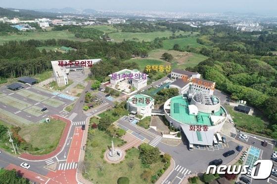 본문 이미지 - 제주 양지공원(제주도 제공)/뉴스1