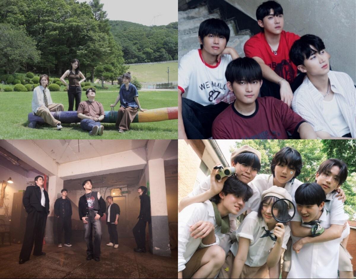 본문 이미지 - 사진제공=밀라그로