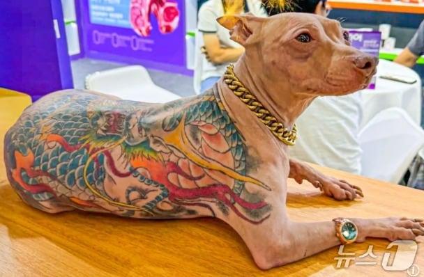 본문 이미지 - 관련 시각물 - SCMP 갈무리