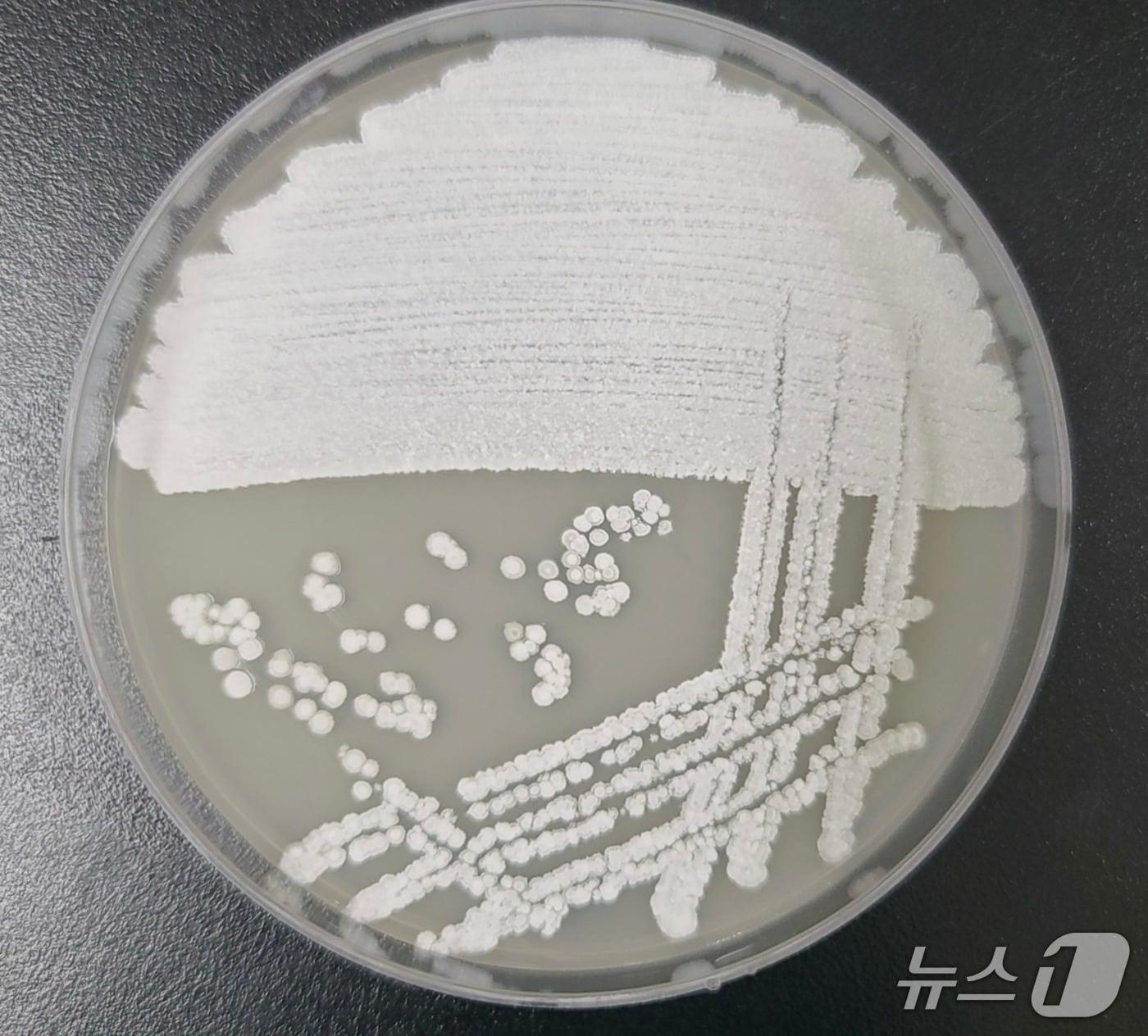 본문 이미지 - (환경부 제공) ⓒ 뉴스1