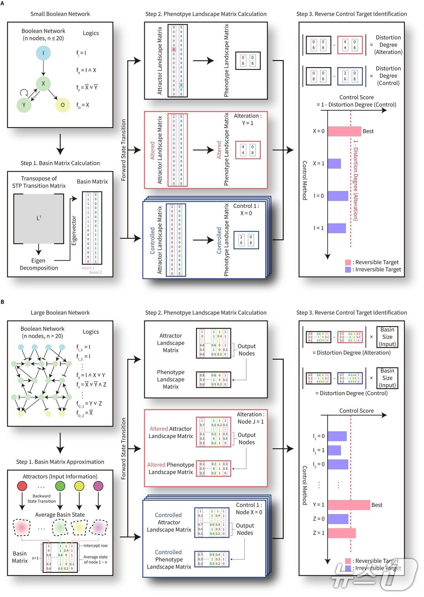 본문 이미지 - 정상 자극-반응 양상 회복 위한 제어타켓 발굴 모식도(KAIST 제공) /뉴스1