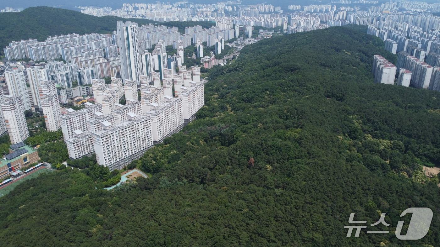 수지중앙공원부지 모습.(용인시 제공)