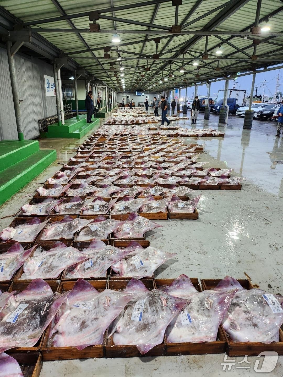 본문 이미지 - 군산 비응항 위판장./뉴스1 DB