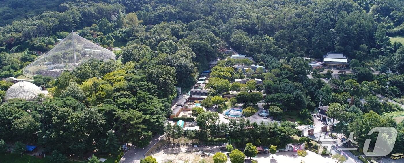 청주동물원.&#40;청주시 제공. 재판매 및 DB금지&#41; /뉴스1
