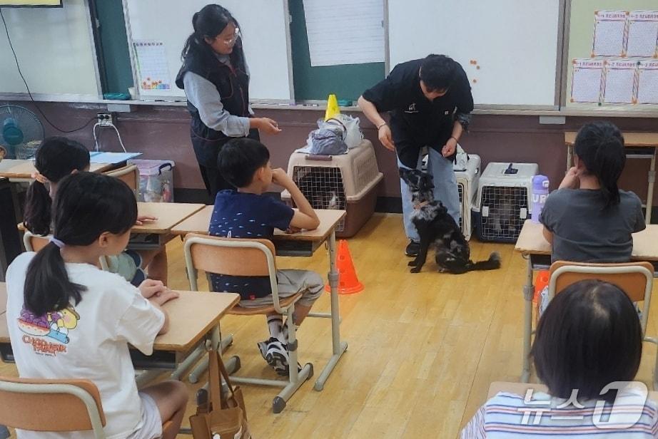 본문 이미지 - '나도 반려견 훈련사' 프로그램(아워비전 제공) ⓒ 뉴스1