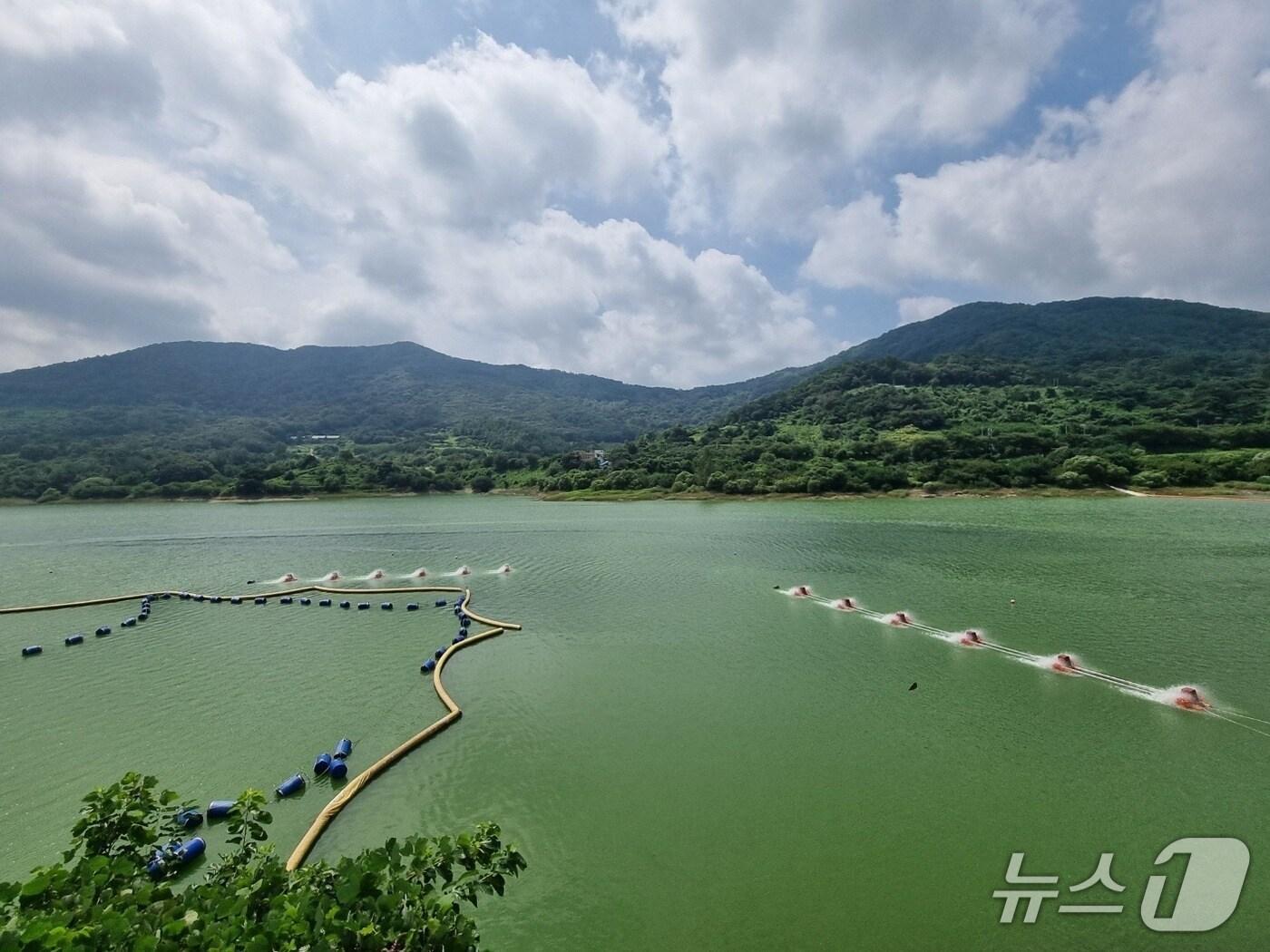 본문 이미지 - 조류경보가 발령된 옥정호 칠보발전방류구지점.&#40;전북환경청 제공. 재판매 및 DB금지&#41;