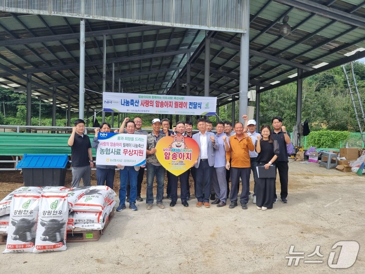 본문 이미지 - 사랑의 암송아지 릴레이 전달.&#40;강원농협 제공. 재판매 및 DB금지&#41;/뉴스1