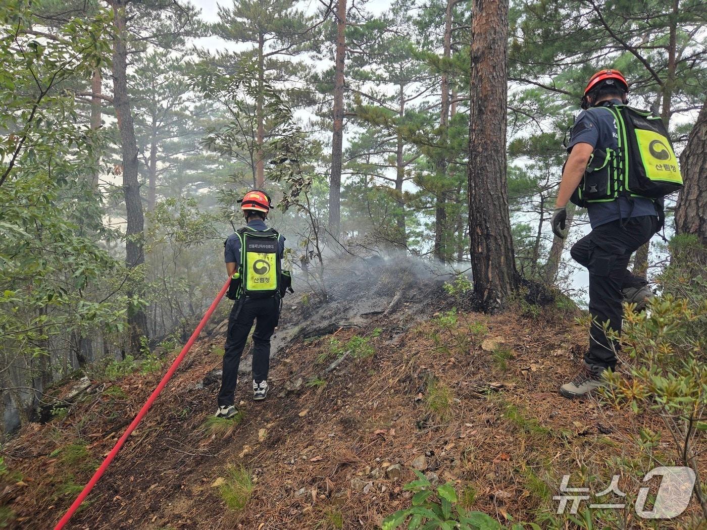본문 이미지 - 동부산림청 산불특수진화대 삼척 가곡 오목리 산불 진화 현장.&#40;동부지방산림청 제공, 재판매 및 DB 금지&#41; 2025.8.28/뉴스1