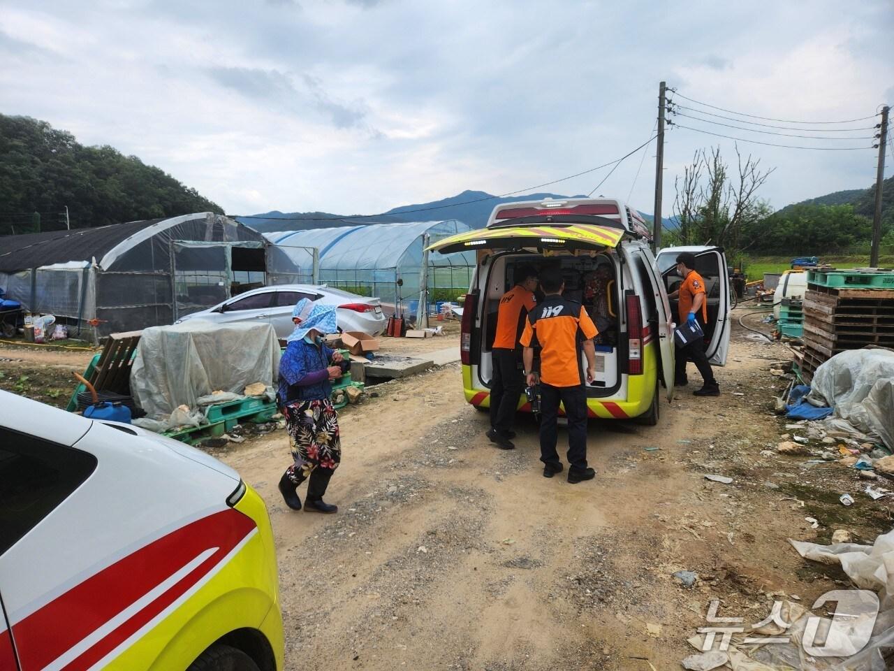 본문 이미지 - 벌쏘임 사고 현장&#40;연천소방서 제공. 재판매 및 DB 금지&#41;/뉴스1 