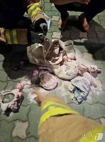 본문 이미지 - 사고 당시 관광객의 짐 모습.(서울교통공사 제공)