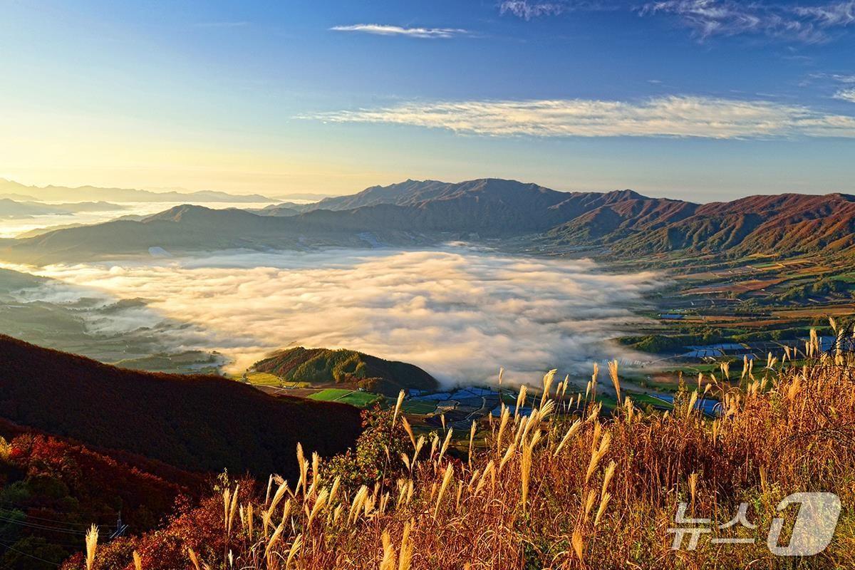 본문 이미지 - 양구 펀치볼.(강원도 제공. 재판매 및 DB금지)/뉴스1