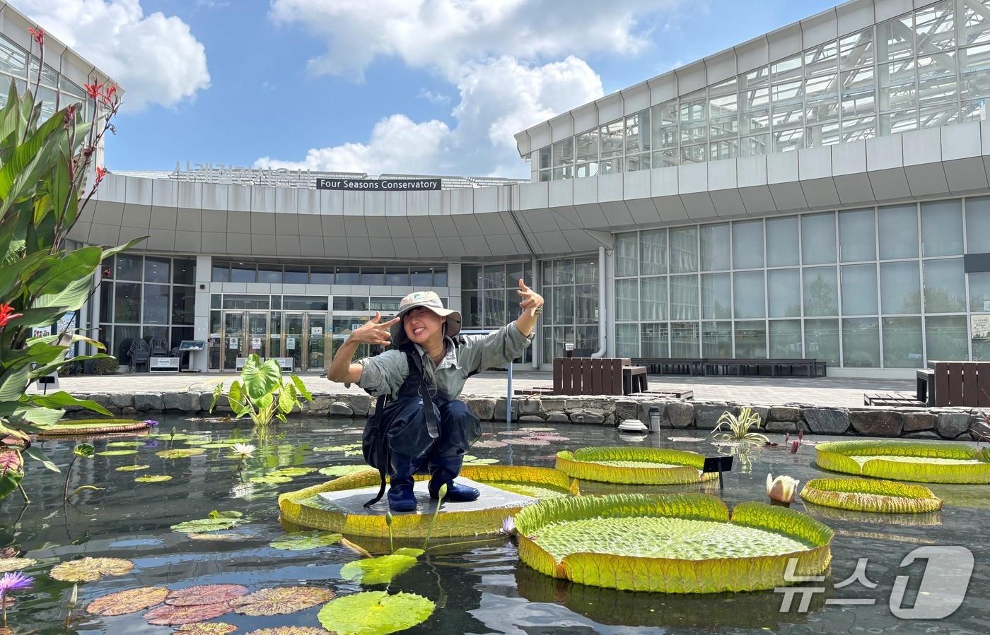  최대 3m까지 자라는 빅토리아수련 잎에 직원이 올라가 잎의 단단함을 보여주고 있다. (한국수목원정원관리원 제공.재판매 및 DB 금지) /뉴스1