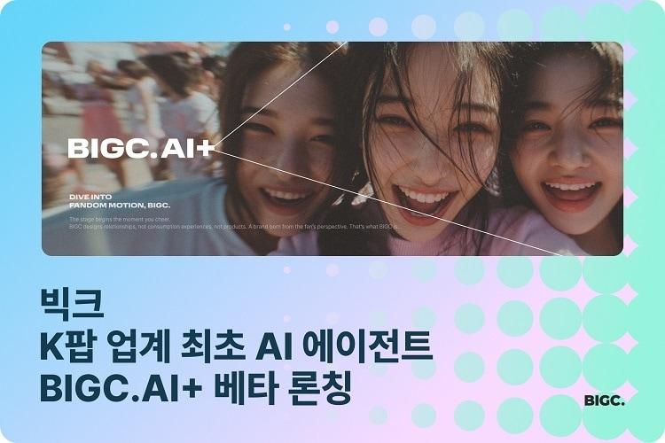 본문 이미지 - 사진=빅크 제공