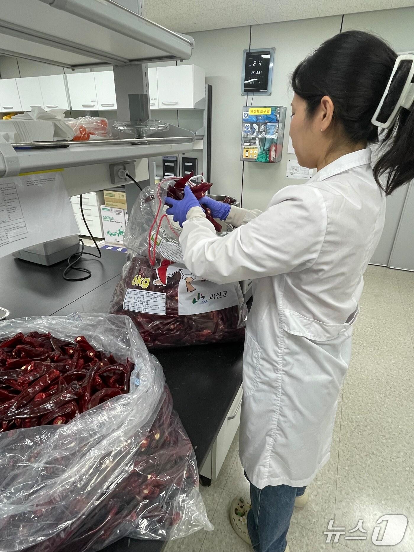 본문 이미지 - 충북보건환경연구원 2025괴산고추축제 출품 고추 대상 안전성 검사. (충북도 제공. 재판매 및 DB금지)