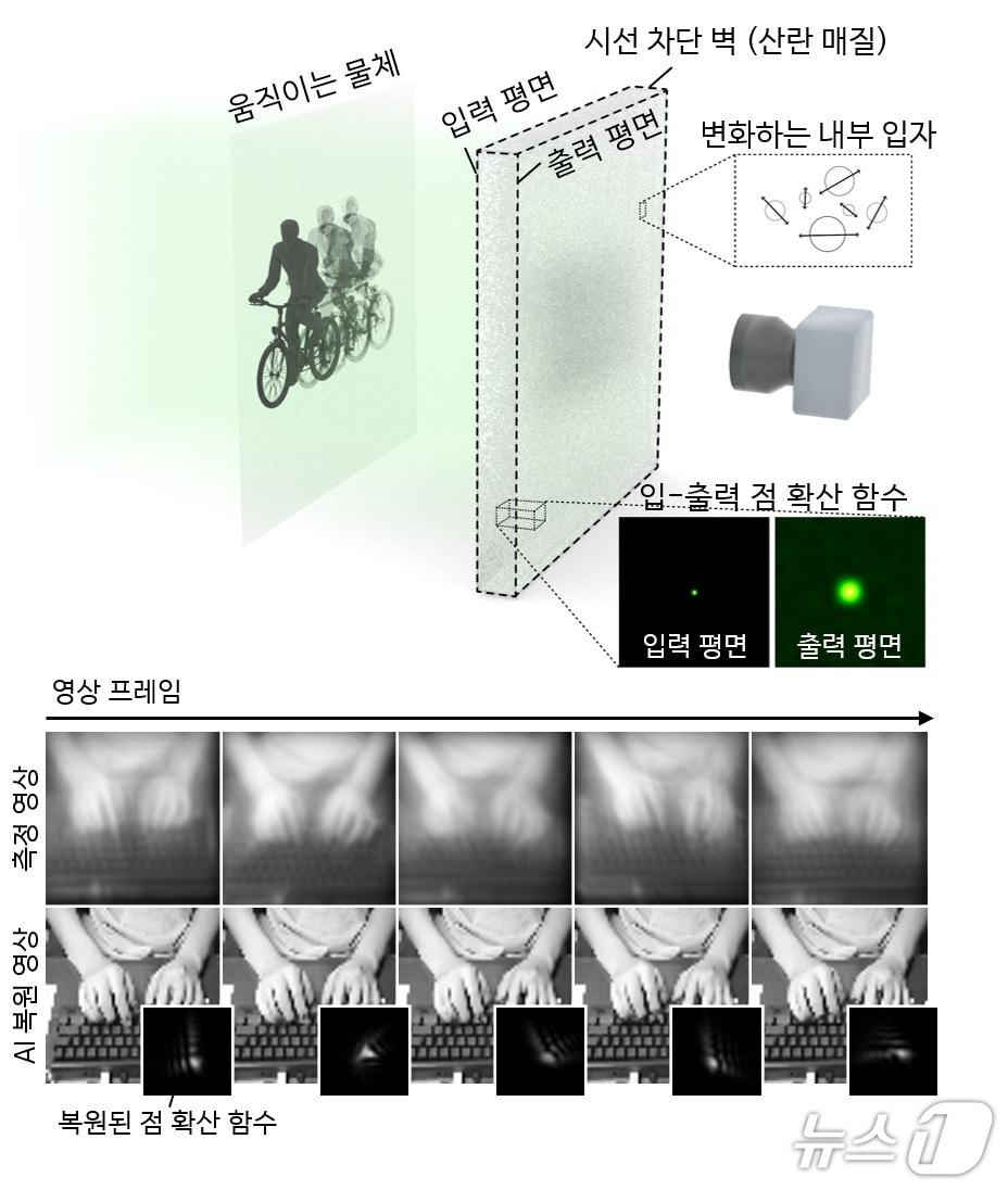 본문 이미지 - 광학 측정 구성도 및 손상 영상 복원 결과(KAIST 제공) /뉴스1