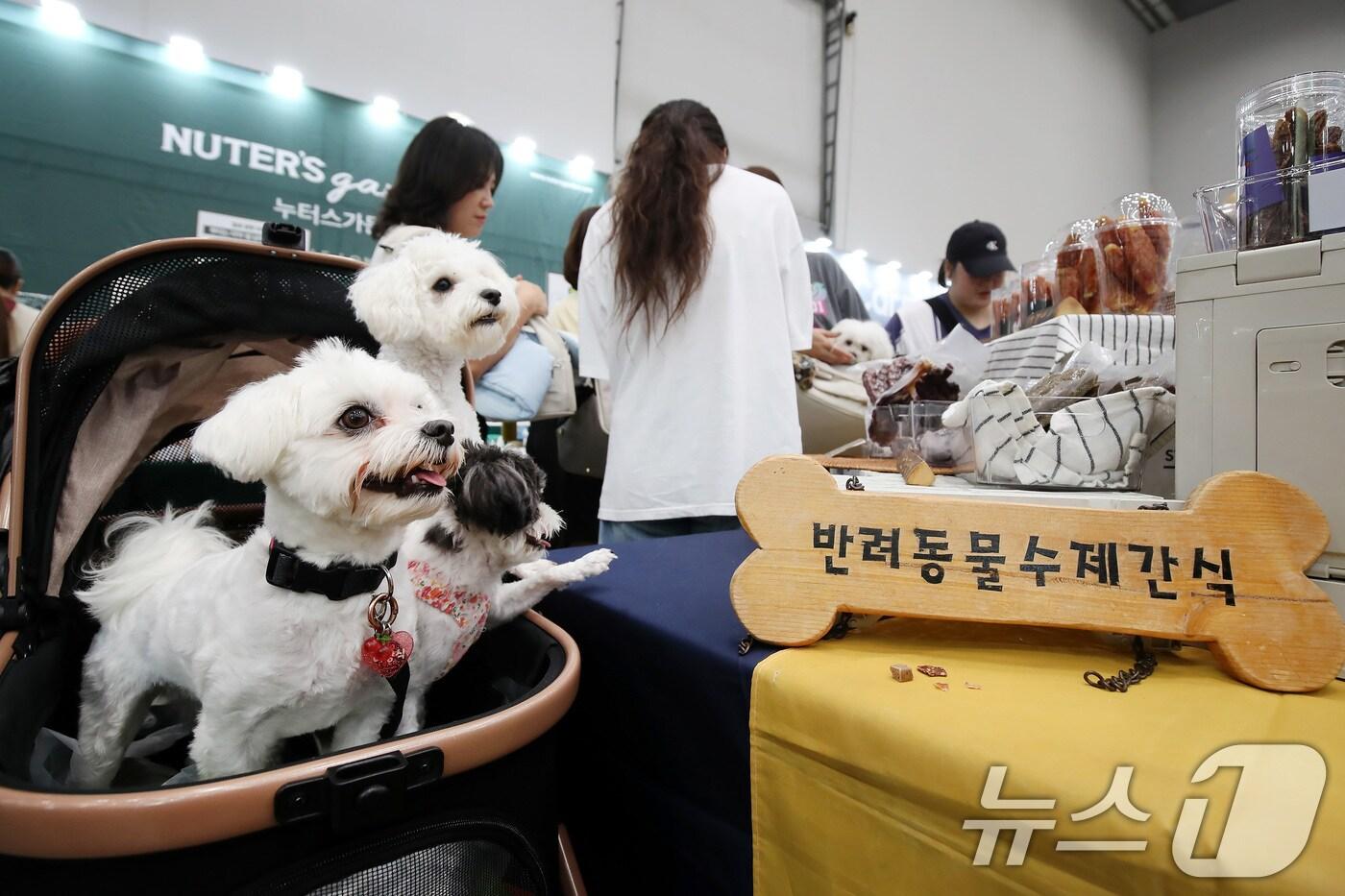 반려동물 산업 박람회. 2025.8.29/뉴스1 ⓒ News1 공정식 기자