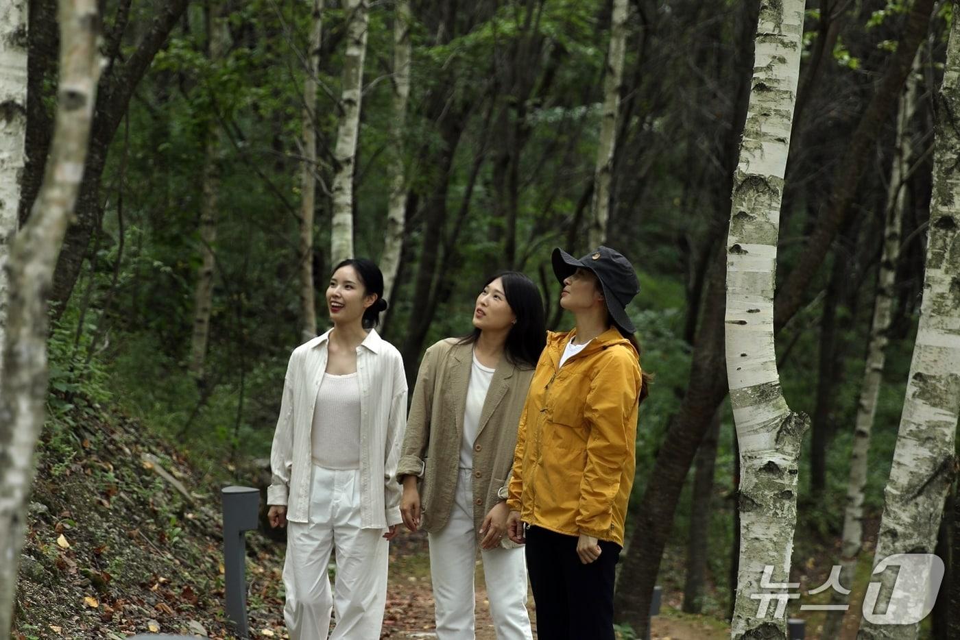 네이처힐링존 숲 이야기 산책프로그램&#40;하이원리조트 제공&#41;