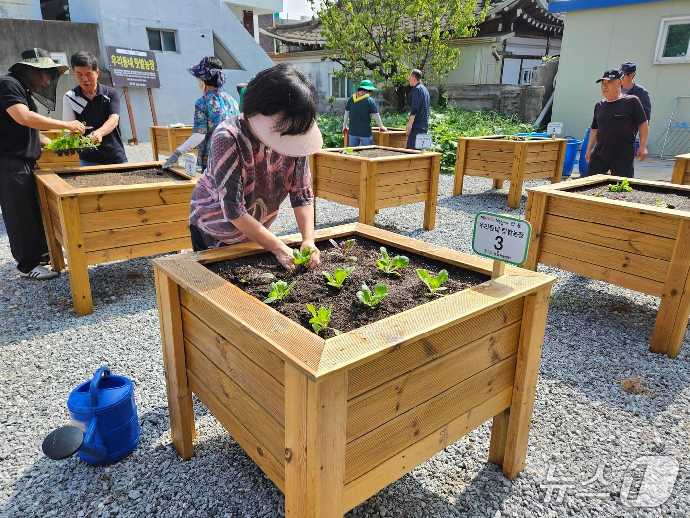 본문 이미지 - 청주시 우리동네 텃밭 농장.(시 제공)/뉴스1