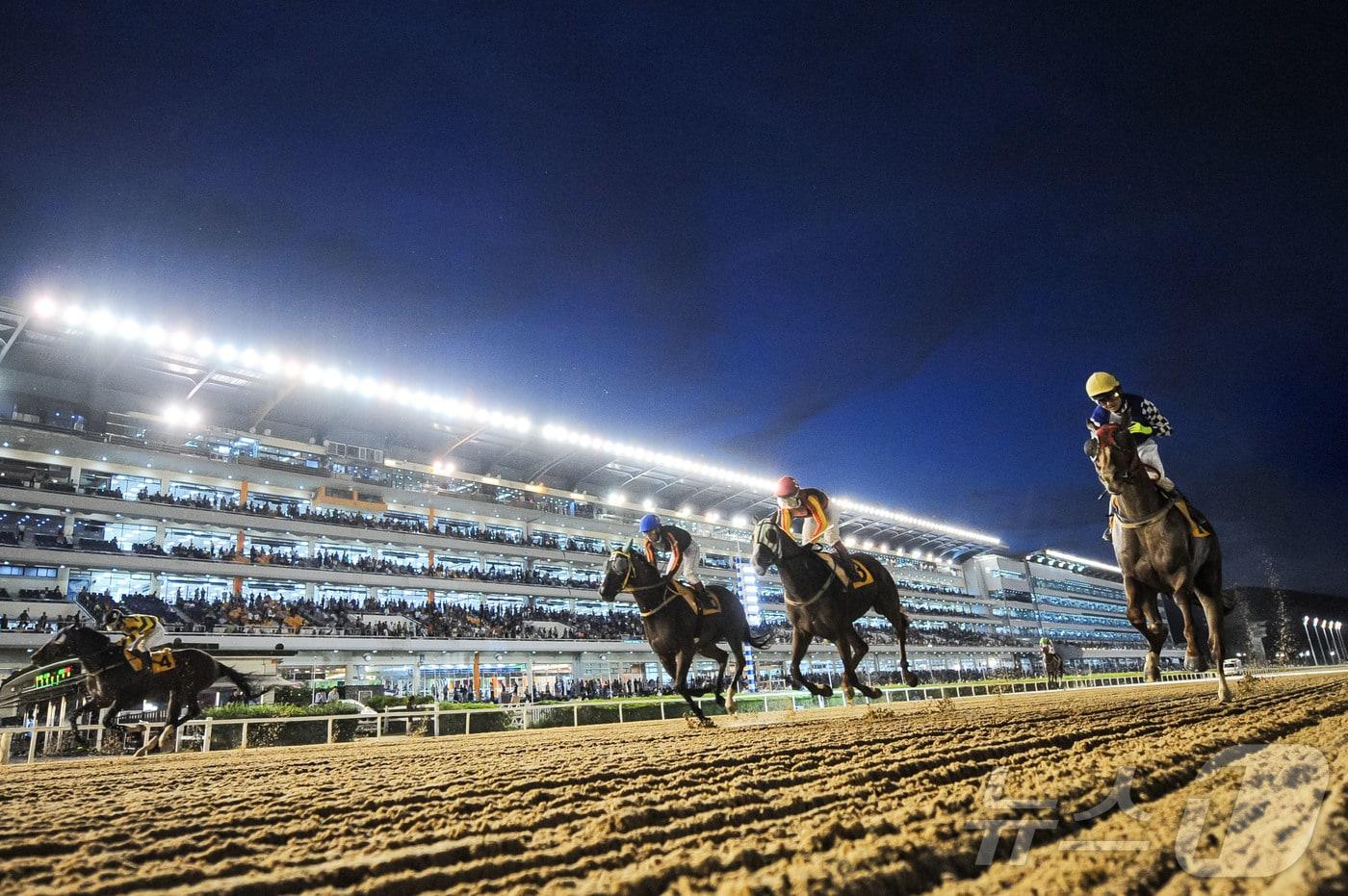 한국마사회에서 펼쳐진 야간경마의 모습. &#40;한국마사회 제공&#41;