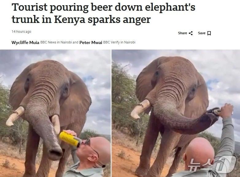 본문 이미지 - 해당 기사 - BBC 갈무리