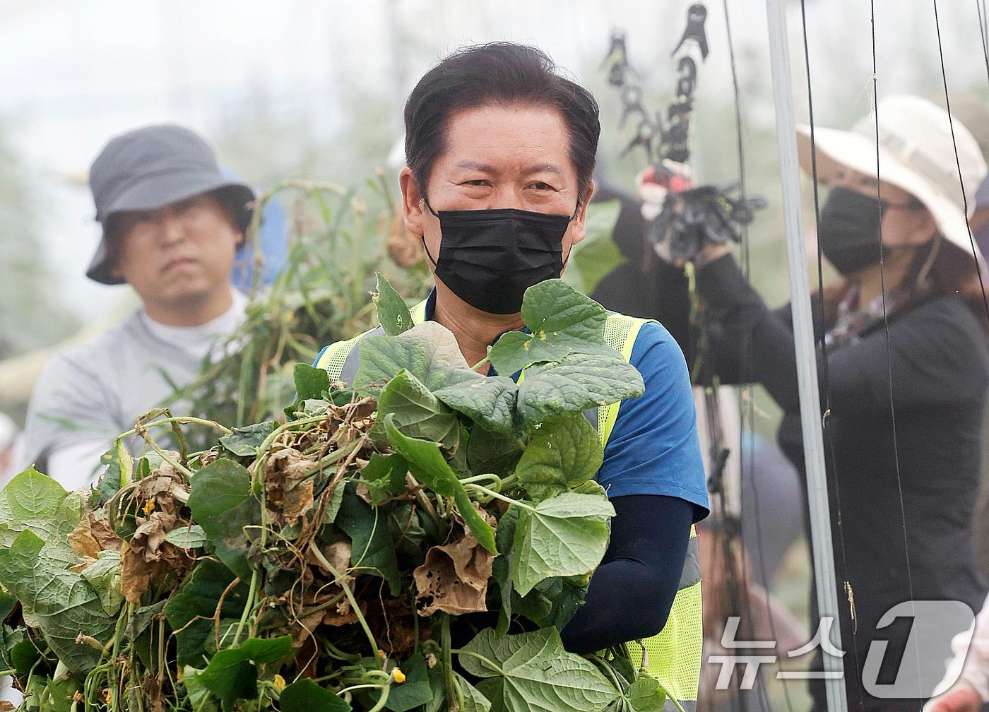 본문 이미지 - 정청래 더불어민주당 당대표가 3일 전남 나주시 노안면 수해 피해 현장을 찾아 복구 지원활동을 하고있다. 2025.8.3/뉴스1 ⓒ News1 김태성 기자
