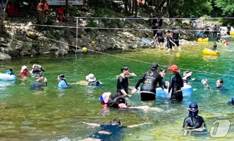 본문 이미지 -  피서객이 몰린 괴산 쌍곡계곡. (독자제공) / 뉴스1