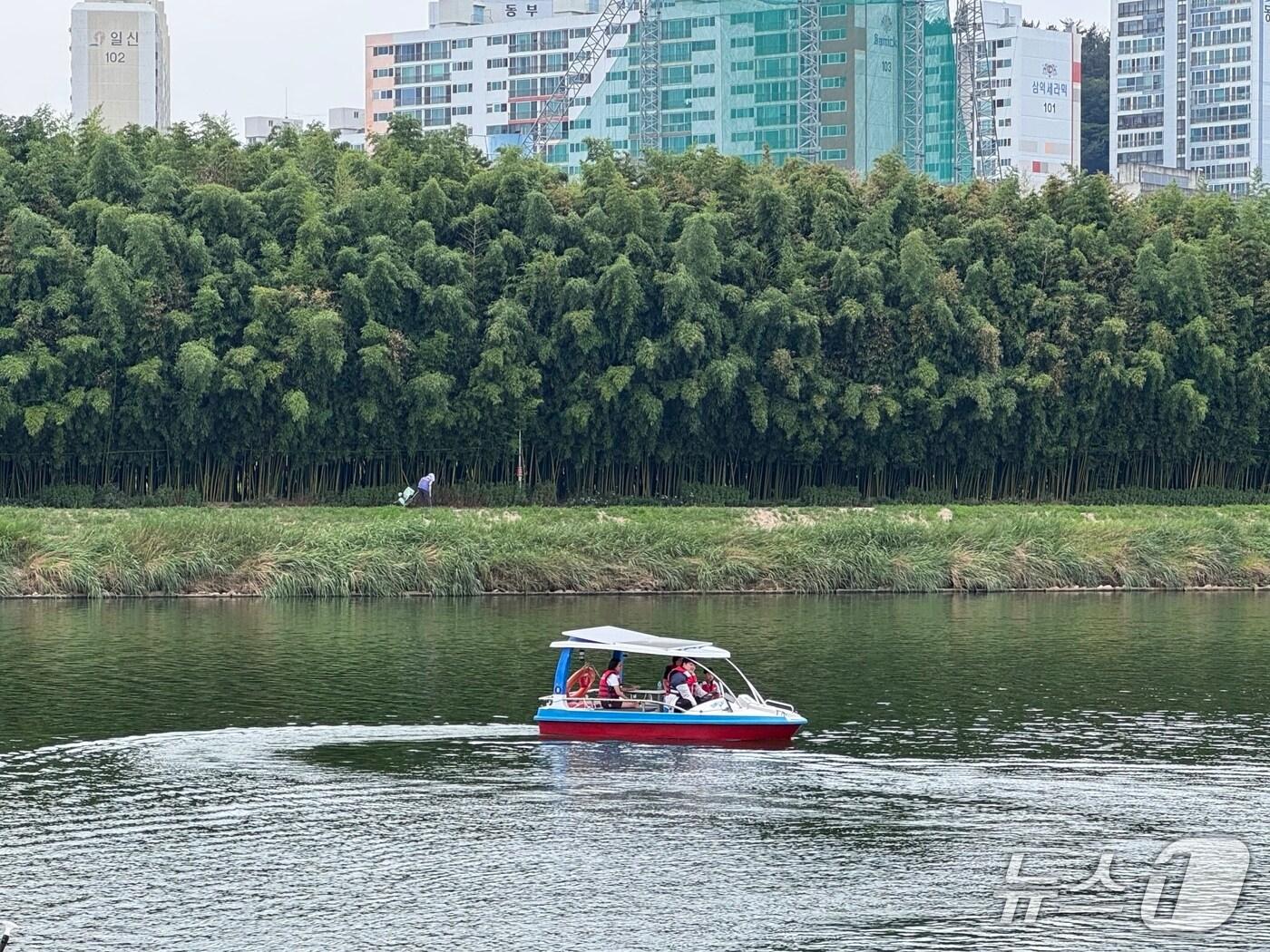 본문 이미지 - 3일 울산 태화강 수상레포츠센터에서 운영하는 패밀리보트가 태화강 일원을 돌고 있다.2025.8.3./뉴스1 News1 김세은 기자