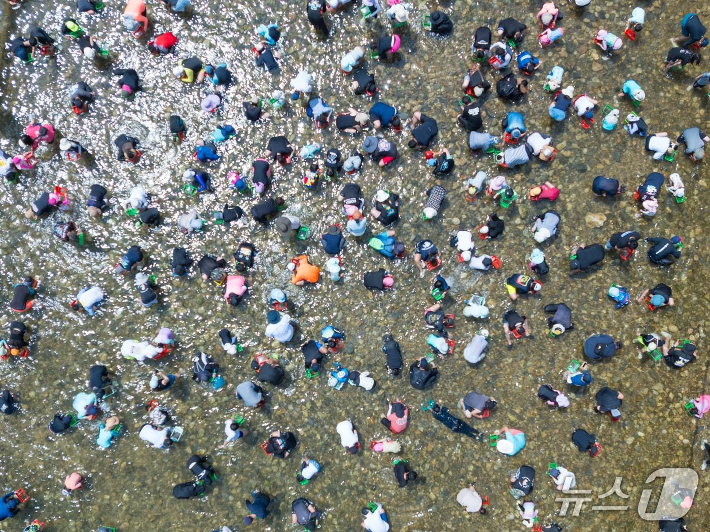 본문 이미지 - 지난달 31일 개막한 제19회 강원 철원 화강 다슬기 축제가 3일 막을 내렸다. 이번 축제기간 30만 명의 방문객이 축제장을 찾아 '황금 다슬기 잡기' 등 프로그램을 즐겼다.(철원군 제공. 재판매 및 DB금지)/뉴스1