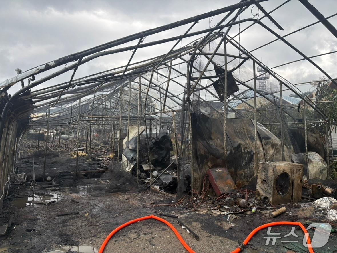 본문 이미지 - 서울 서초구 내곡동 화훼단지에서 발생한 화재로 비닐하우스가 불에 탄 모습.(서초소방서 제공)