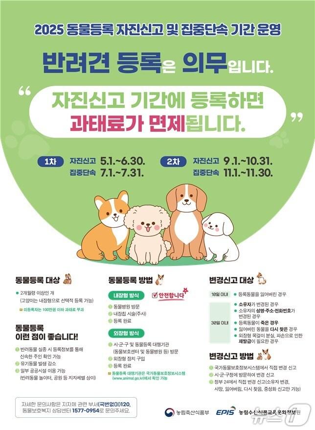 본문 이미지 - 2025년 2차 동물등록 자진신고 및 집중단속 기간 운영 홍보 포스터.(전북도 제공. 재판매 및 DB금지)/뉴스1 