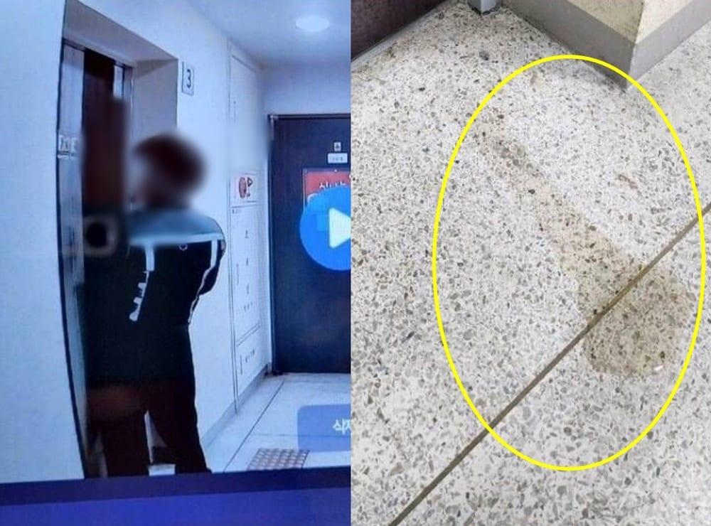 본문 이미지 - (보배드림 갈무리)