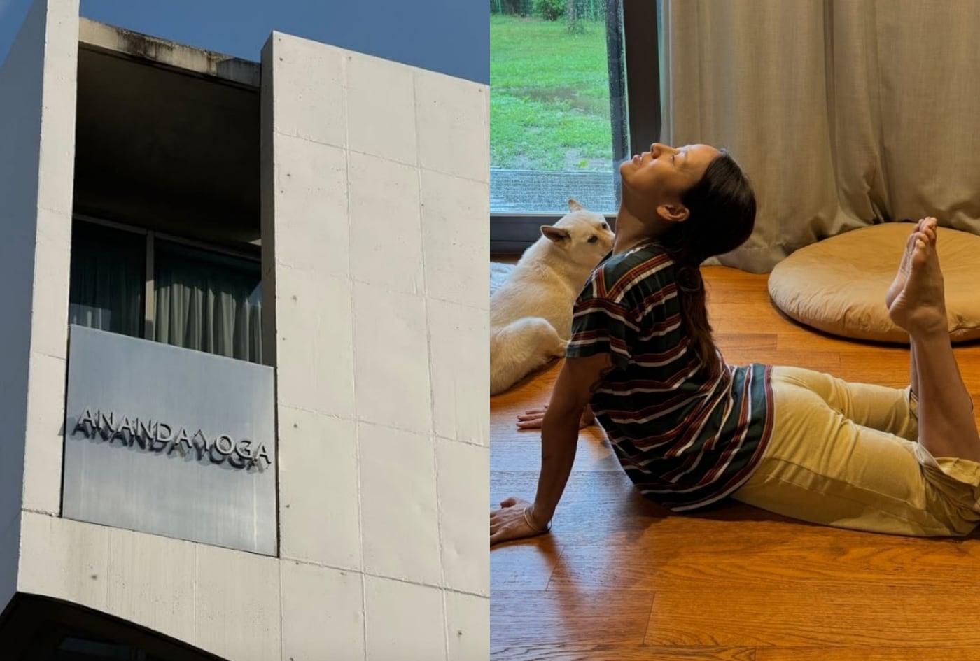 아난다 요가, 이효리 인스타그램