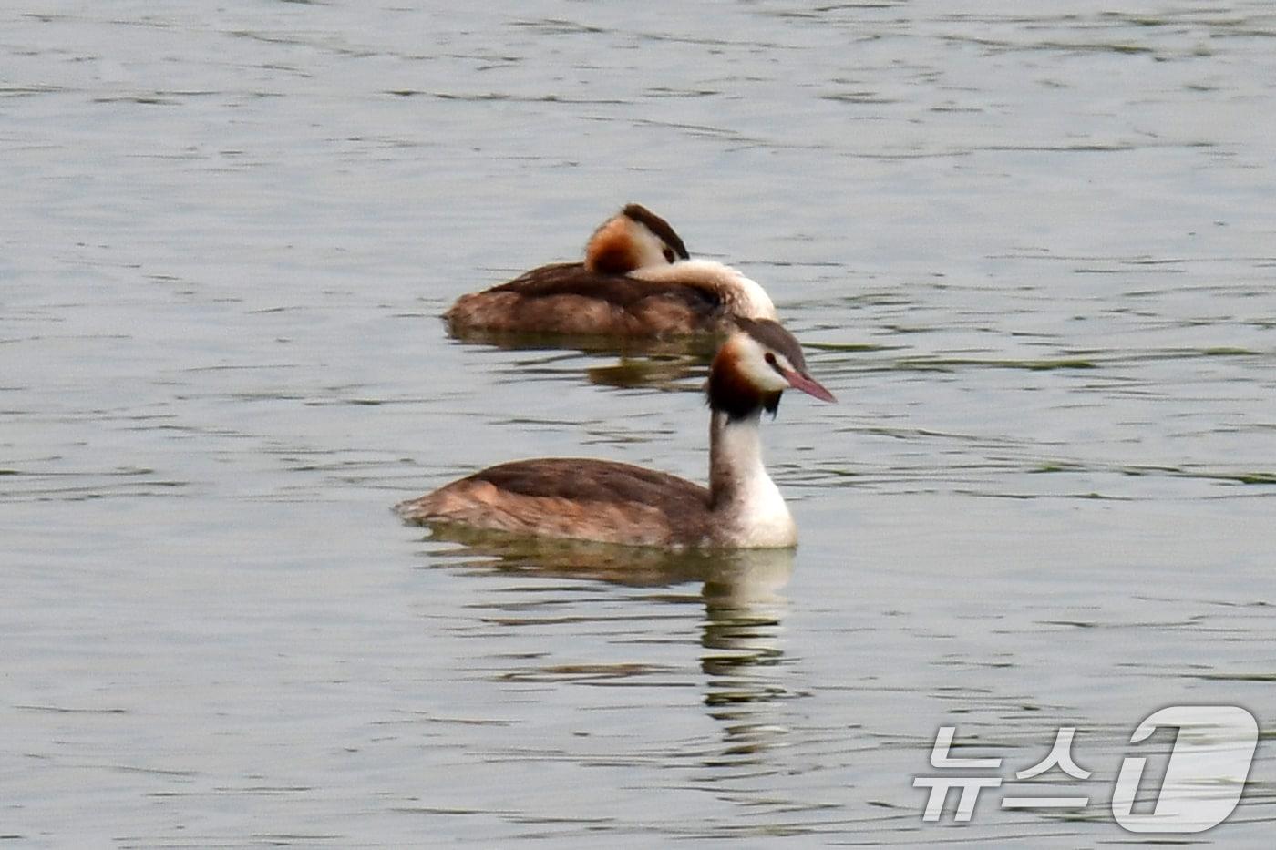 자료사진/뉴스1 ⓒ News1 