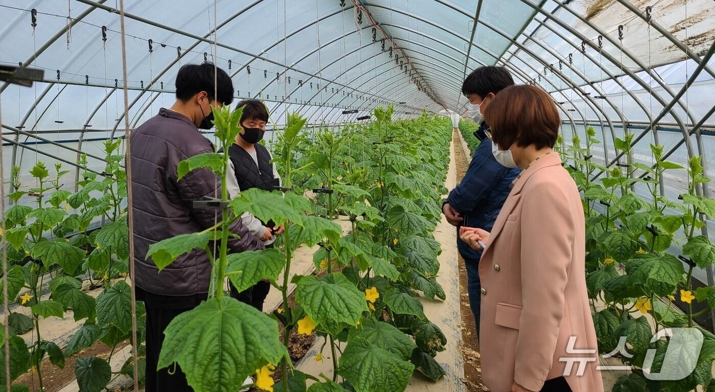 충북 진천군이 청년 농업인의 영농 현장을 찾아 현장 지원을 하고 있다.(진천군 제공, 재판매 및 DB금지)/뉴스1