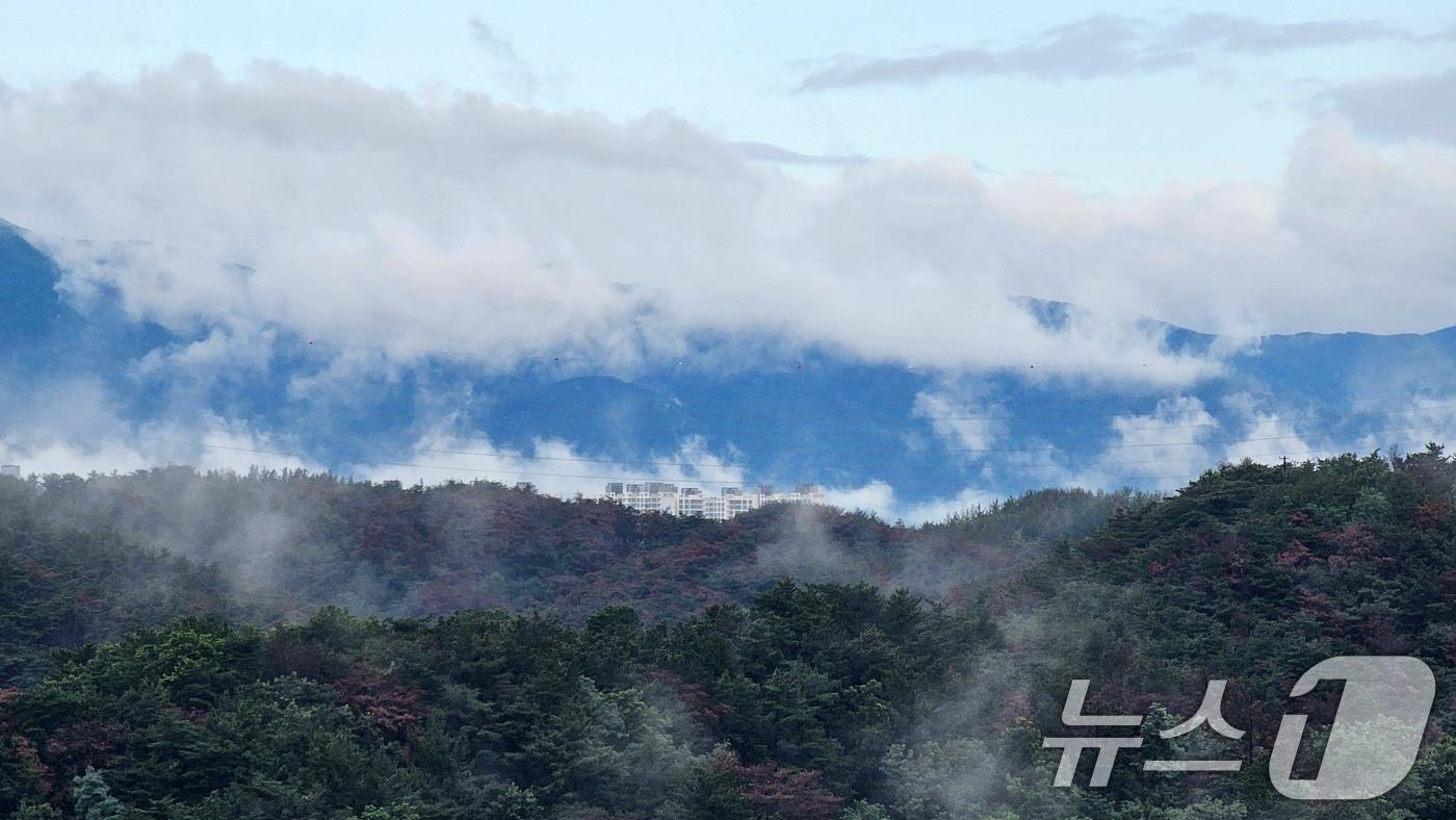비가 그친 4일 오전 경북 포항시 하늘 위로 낮은 구름이 떠다니고 있다. 2025.8.4/뉴스1 ⓒ News1 최창호 기자