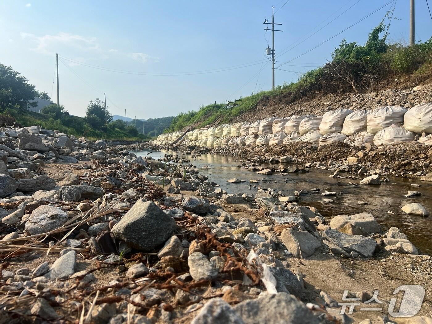 본문 이미지 - 이번 집중호우로 피해를 입은 청양군 운곡면 양지천의 모습. (cjddid군 제공. 재판매 및 DB금지)2025.8.4/뉴스1