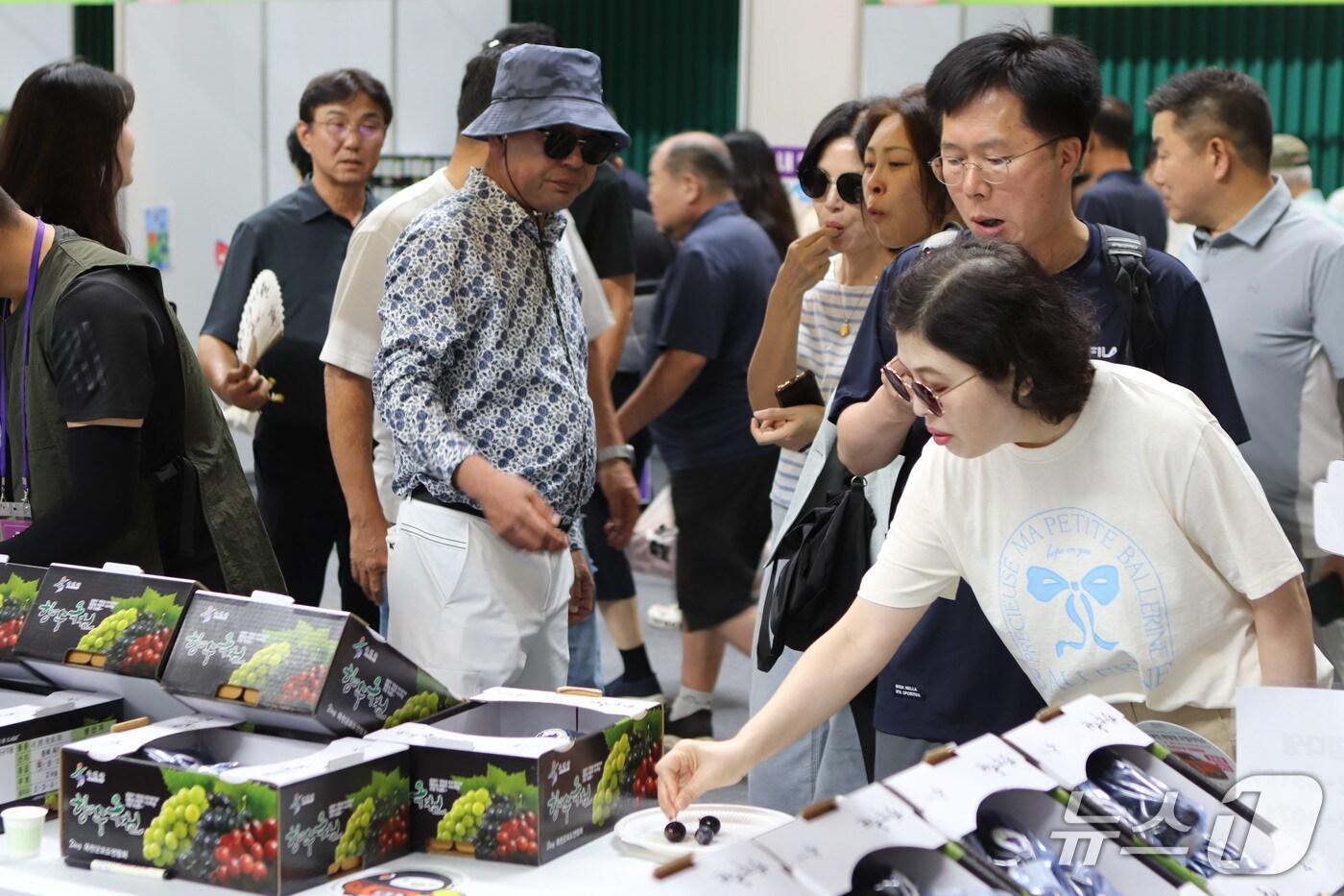  &#39;향수옥천 포도·복숭아 축제&#39; 기간 방문객들이 포도를 시식하고 있다. &#40;옥천군 제공, 재팬매 및 DB금지&#41; /뉴스1