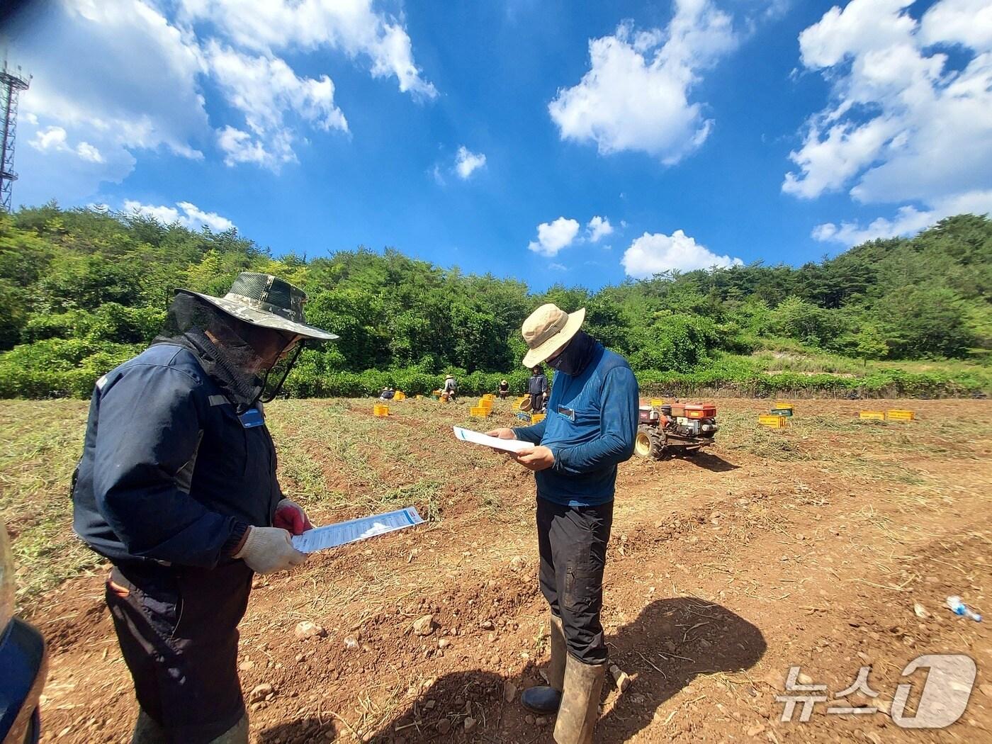 본문 이미지 -  에어작업복 착용 모습.&#40;단양군 제공. 재판매 및 DB금지&#41;/뉴스1