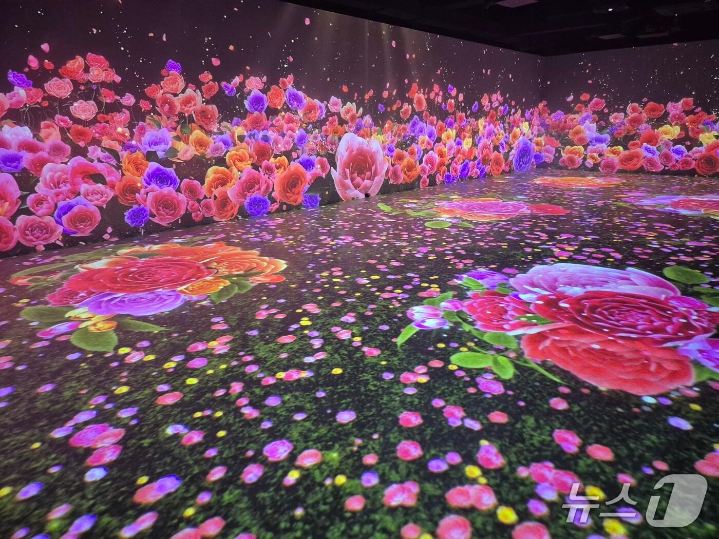 본문 이미지 - 대전 동구 ‘대청호자연생태관’ 디지털실감영상관 모습. (대전동구 제공. 재판매 및 DB금지)2025.8.4/뉴스1