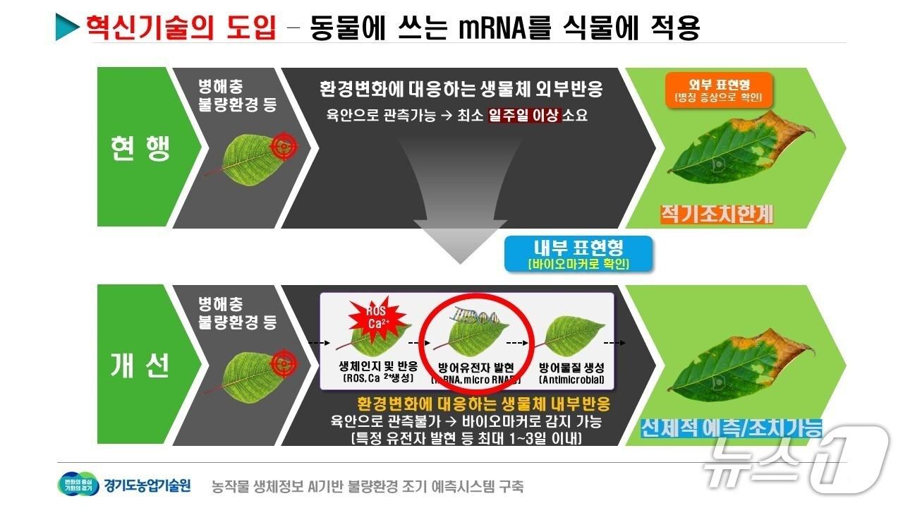 본문 이미지 - 농작물 생체정보 기반 불량환경 대응 체계 자료 이미지.&#40;경기도 제공. 재판매 및 DB금지&#41;